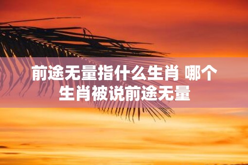 前途无量指什么生肖 哪个生肖被说前途无量