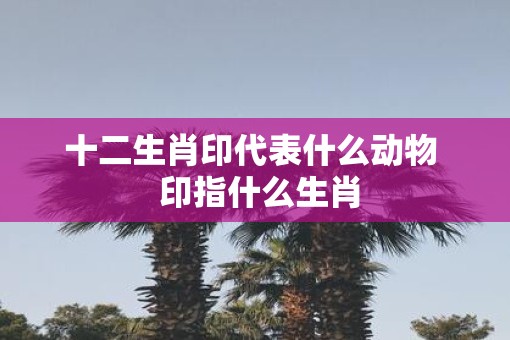 十二生肖印代表什么动物  印指什么生肖