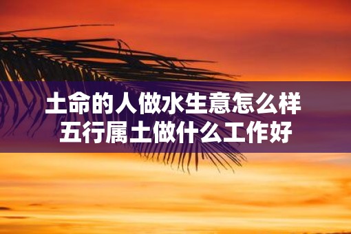 土命的人做水生意怎么样 五行属土做什么工作好