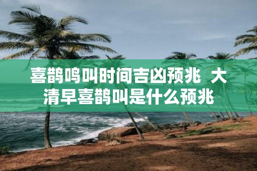 喜鹊鸣叫时间吉凶预兆  大清早喜鹊叫是什么预兆