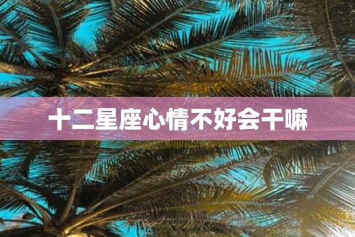 十二星座心情不好会干嘛