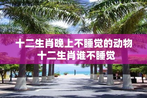 十二生肖晚上不睡觉的动物  十二生肖谁不睡觉