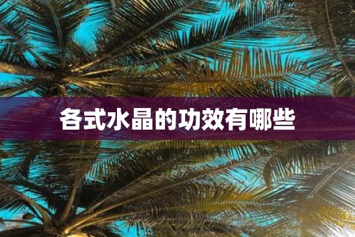 各式水晶的功效有哪些