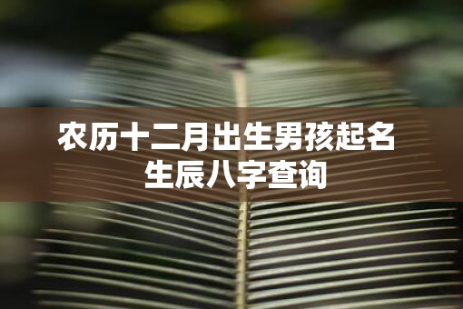 农历十二月出生男孩起名  生辰八字查询