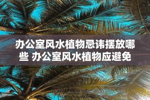 办公室风水植物忌讳摆放哪些 办公室风水植物应避免哪些