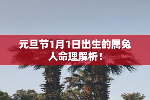 元旦节1月1日出生的属兔人命理解析！