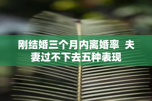刚结婚三个月内离婚率  夫妻过不下去五种表现