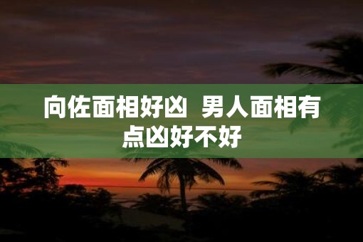 向佐面相好凶  男人面相有点凶好不好