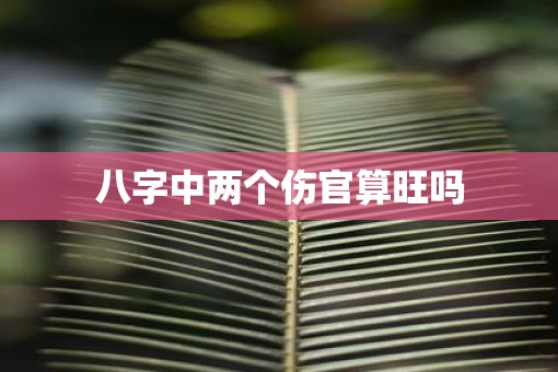 八字中两个伤官算旺吗