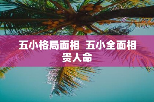 五小格局面相  五小全面相贵人命