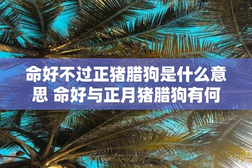 命好不过正猪腊狗是什么意思 命好与正月猪腊狗有何关联