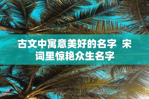 古文中寓意美好的名字  宋词里惊艳众生名字