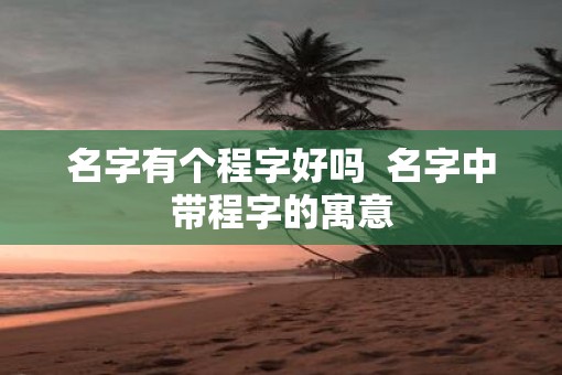 名字有个程字好吗  名字中带程字的寓意