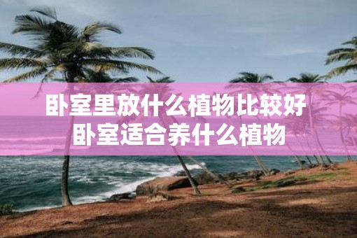 卧室里放什么植物比较好 卧室适合养什么植物