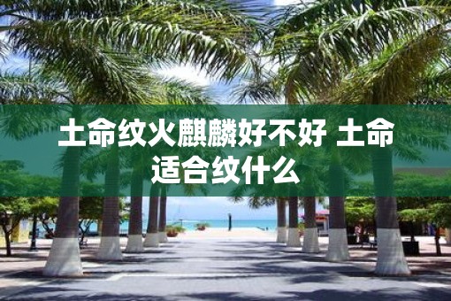 土命纹火麒麟好不好 土命适合纹什么
