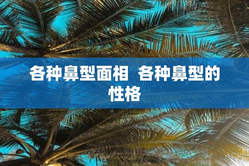 各种鼻型面相  各种鼻型的性格