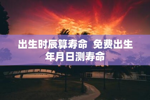 出生时辰算寿命  免费出生年月日测寿命