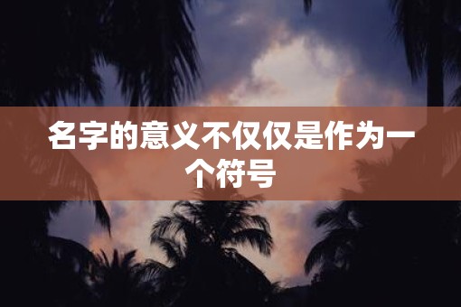 名字的意义不仅仅是作为一个符号