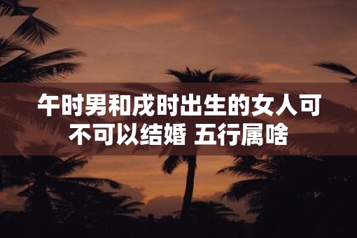 午时男和戌时出生的女人可不可以结婚 五行属啥