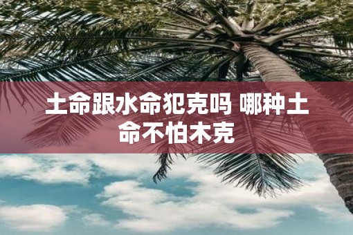 土命跟水命犯克吗 哪种土命不怕木克