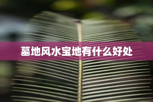 墓地风水宝地有什么好处