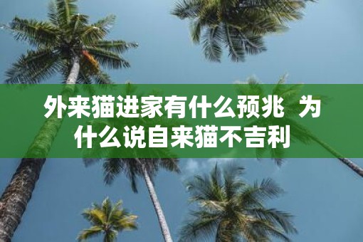 外来猫进家有什么预兆  为什么说自来猫不吉利