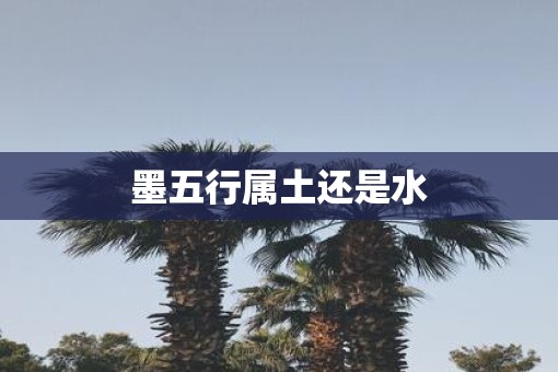 墨五行属土还是水