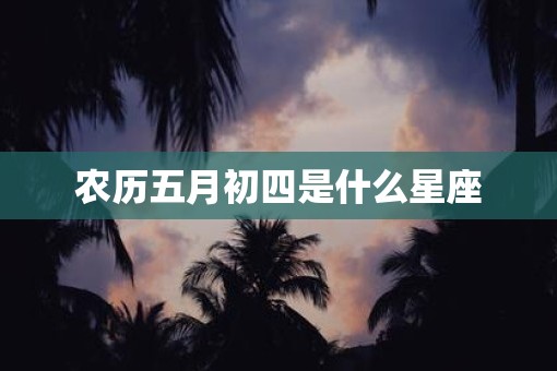 农历五月初四是什么星座