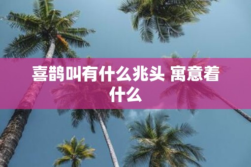喜鹊叫有什么兆头 寓意着什么
