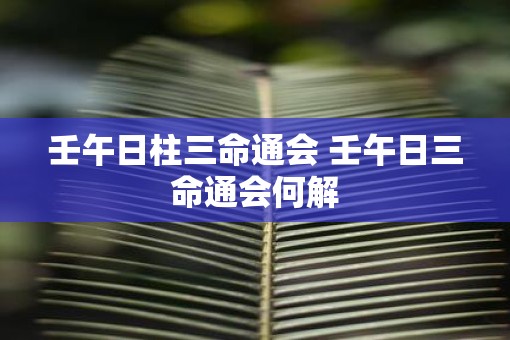 壬午日柱三命通会 壬午日三命通会何解