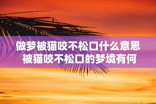 做梦被猫咬不松口什么意思 被猫咬不松口的梦境有何意义