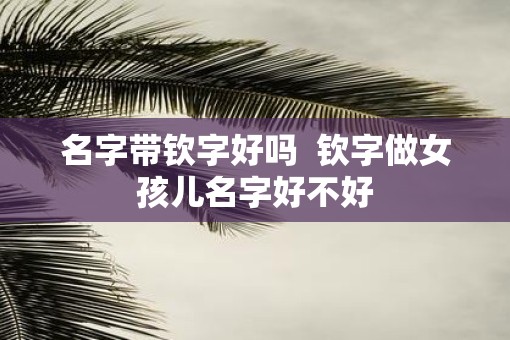 名字带钦字好吗  钦字做女孩儿名字好不好