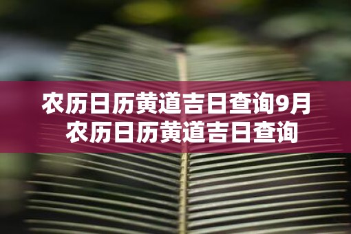 农历日历黄道吉日查询9月 农历日历黄道吉日查询 农历日历黄道吉日查询9月 农历日历黄道吉日查询