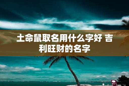 土命鼠取名用什么字好 吉利旺财的名字