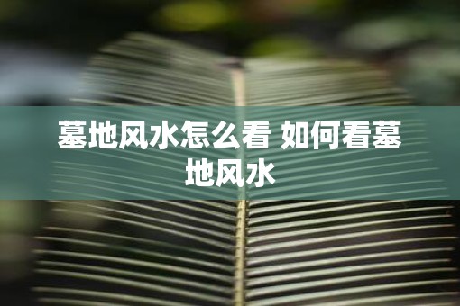 墓地风水怎么看 如何看墓地风水