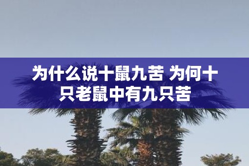 为什么说十鼠九苦 为何十只老鼠中有九只苦