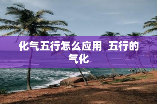 化气五行怎么应用  五行的气化