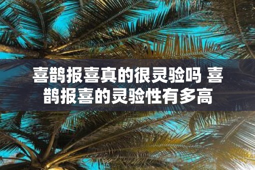 喜鹊报喜真的很灵验吗 喜鹊报喜的灵验性有多高