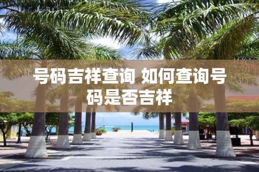 号码吉祥查询 如何查询号码是否吉祥