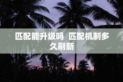 匹配能升级吗  匹配机制多久刷新