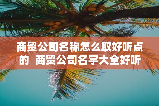 商贸公司名称怎么取好听点的  商贸公司名字大全好听的个性名字网