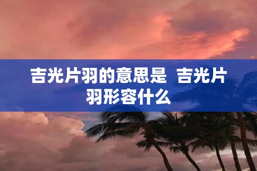 吉光片羽的意思是  吉光片羽形容什么