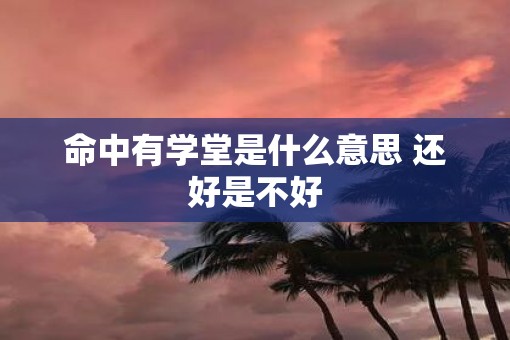 命中有学堂是什么意思 还好是不好