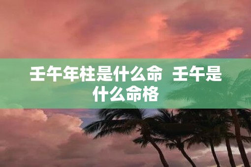 壬午年柱是什么命  壬午是什么命格