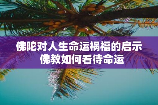 佛陀对人生命运祸福的启示  佛教如何看待命运