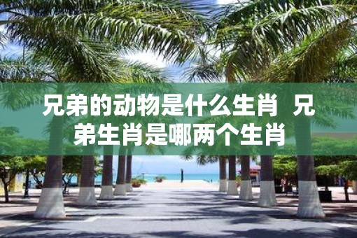 兄弟的动物是什么生肖  兄弟生肖是哪两个生肖