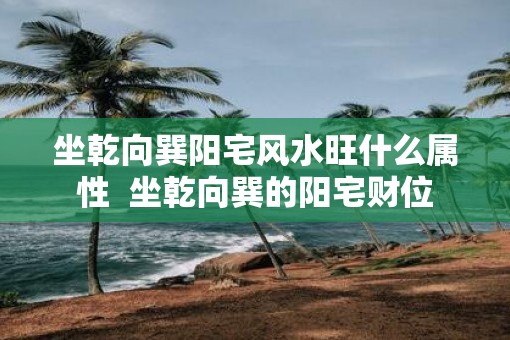 坐乾向巽阳宅风水旺什么属性  坐乾向巽的阳宅财位