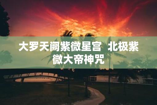 大罗天阙紫微星宫  北极紫微大帝神咒