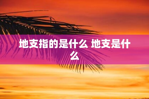 地支指的是什么 地支是什么