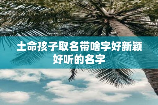 土命孩子取名带啥字好新颖好听的名字